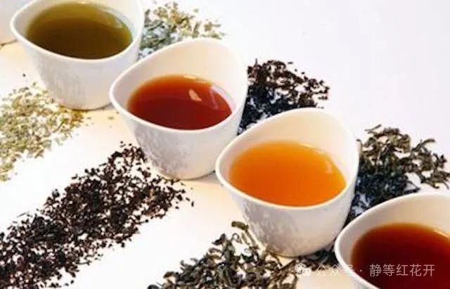 穿越千年，一茶一味：中国古代茶文化简述